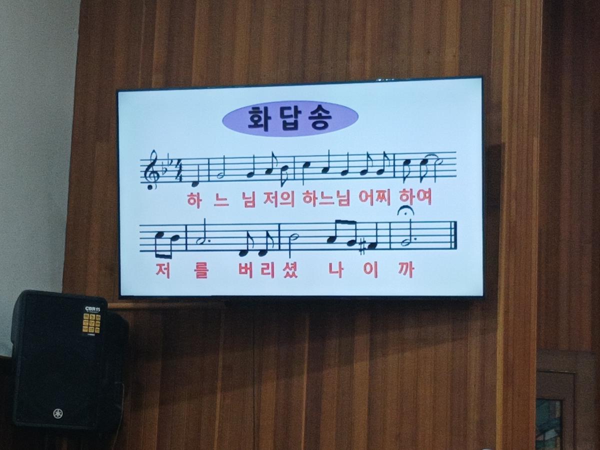 1744611288727.jpg